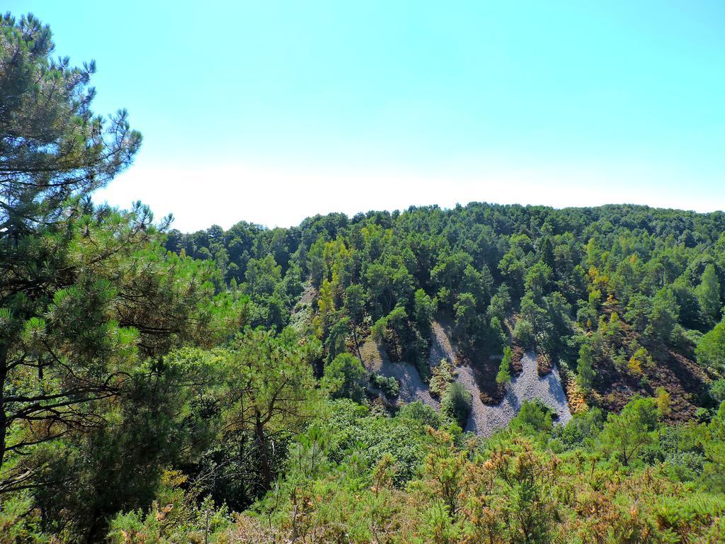 Gite Le Bourgneuf Fresnay-sur-Sarthe Екстер'єр фото