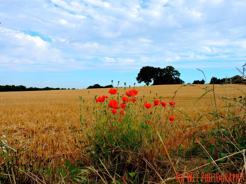 Gite Le Bourgneuf Fresnay-sur-Sarthe Екстер'єр фото