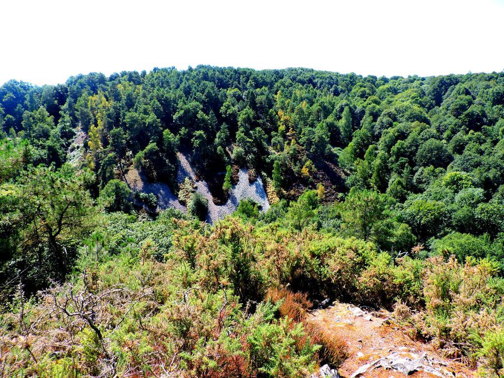 Gite Le Bourgneuf Fresnay-sur-Sarthe Екстер'єр фото
