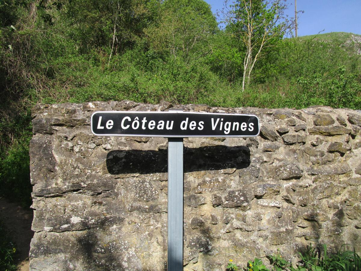 Gite Le Bourgneuf Fresnay-sur-Sarthe Екстер'єр фото